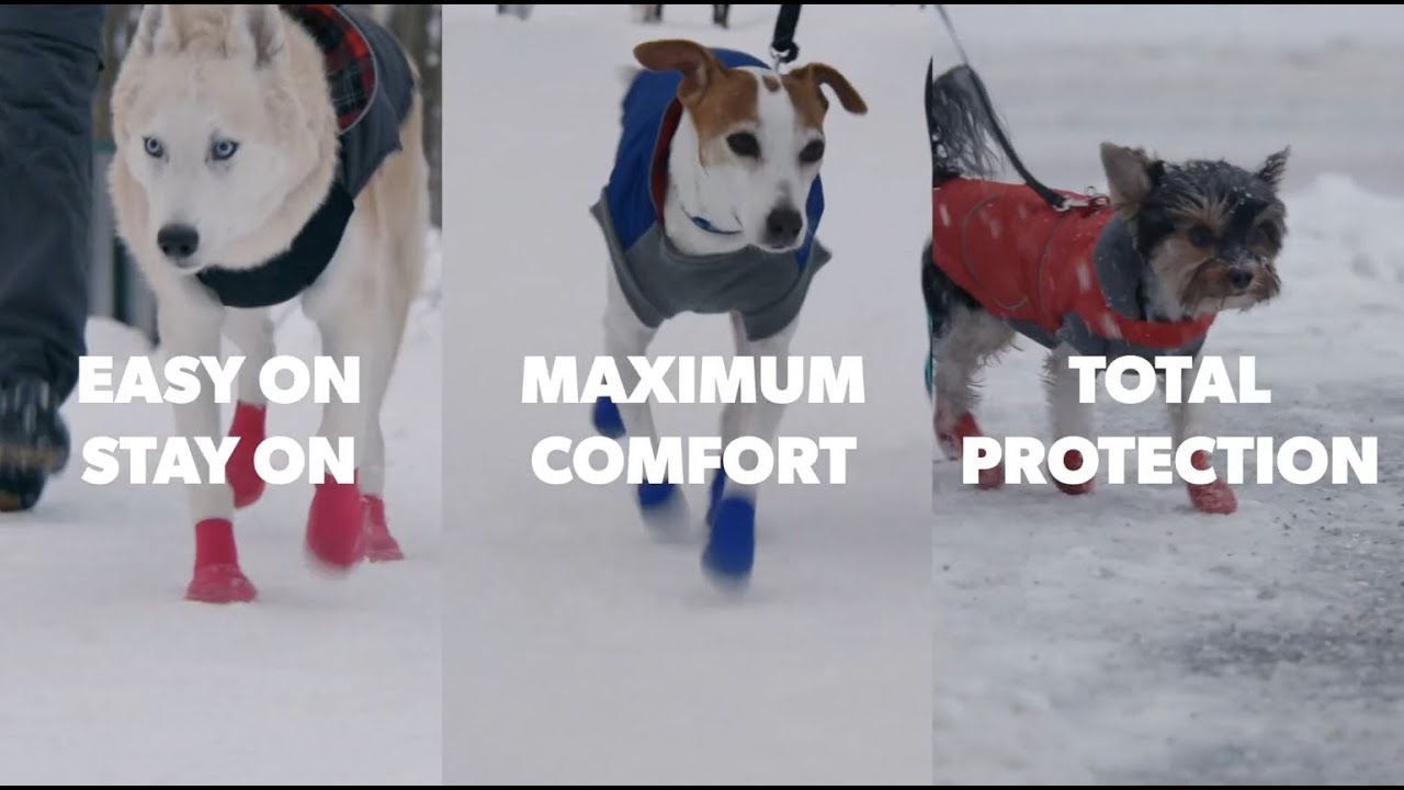 All Season, All Terrain Dog Boots - Goo-eez