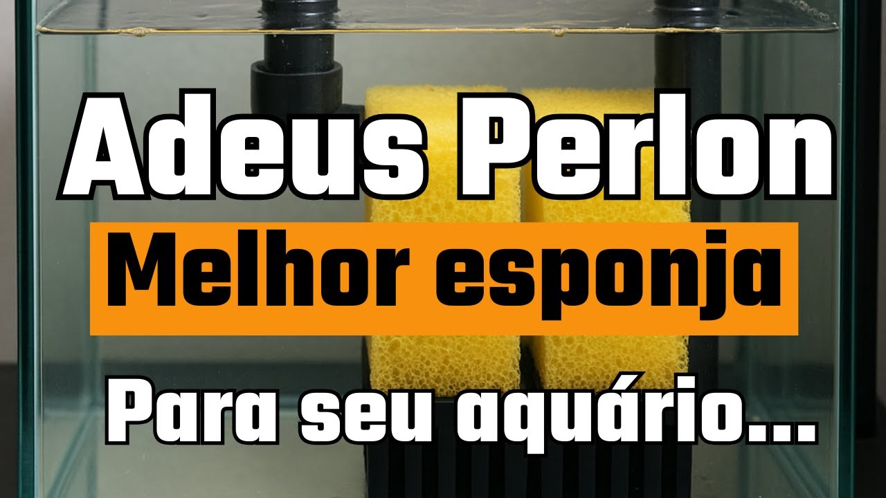 Esponja JBL para Aquários: Vale a Pena? Benefícios, Dicas e Como Usar | Nortico Fish Aquarismo