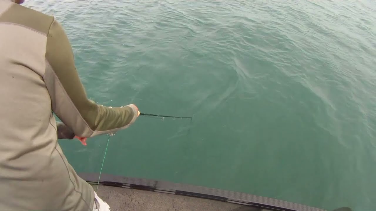 Tips for Close Musky Encounters - Figure 8