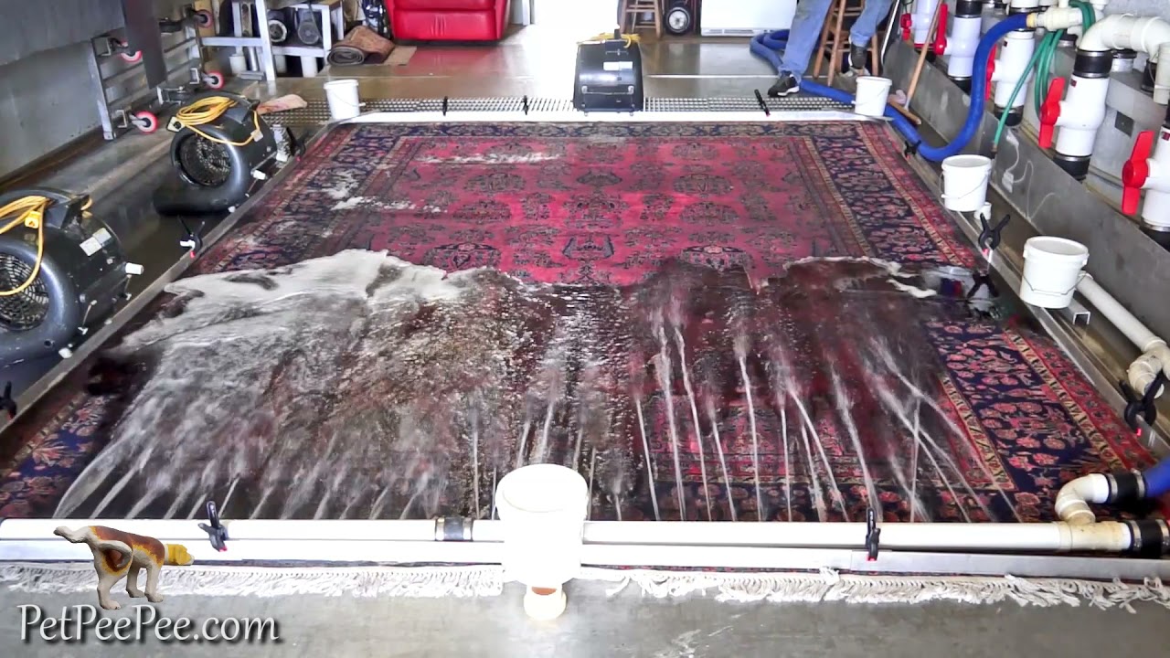 CLEANING ANTIQUE WOOL CARPET CHEMICAL-FREE