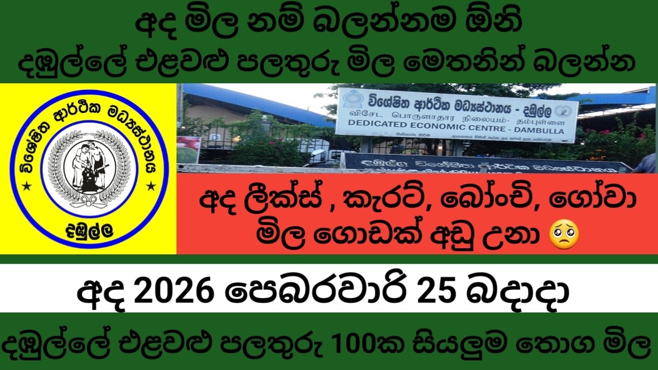 අද අලුත්ම දඹුල්ලේ එළවළු පලතුරු මිල / 2026.02.25 බදාදා තොග එළවළු මිල Dambulla Market wholesale prices