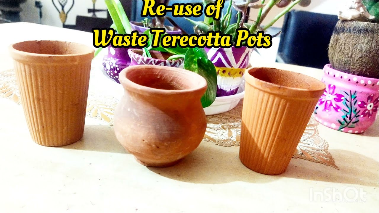 Terracotta ke Kulhadd Me Gardening•Chai ki Bharuki Ka Istemaal•Reuse Of Waste•@Shiteeknolwdgekingdom