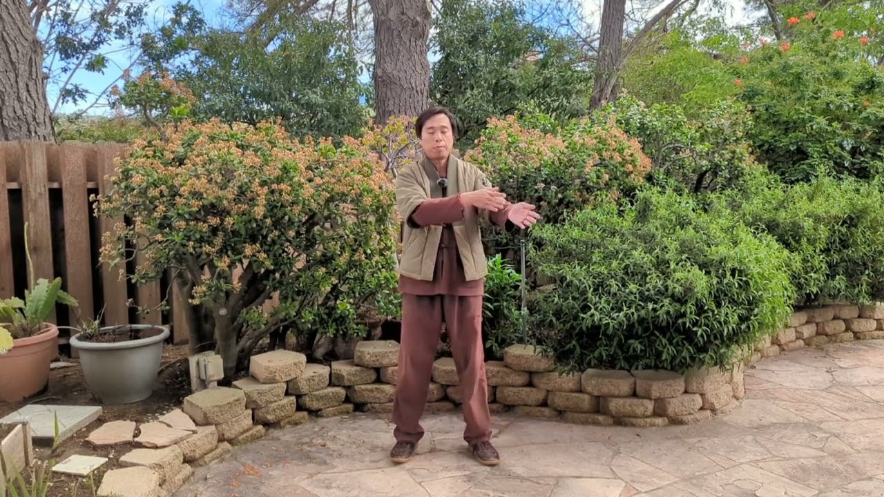 Learn How To Rejuvenate The Body With Tai Chi Qigong