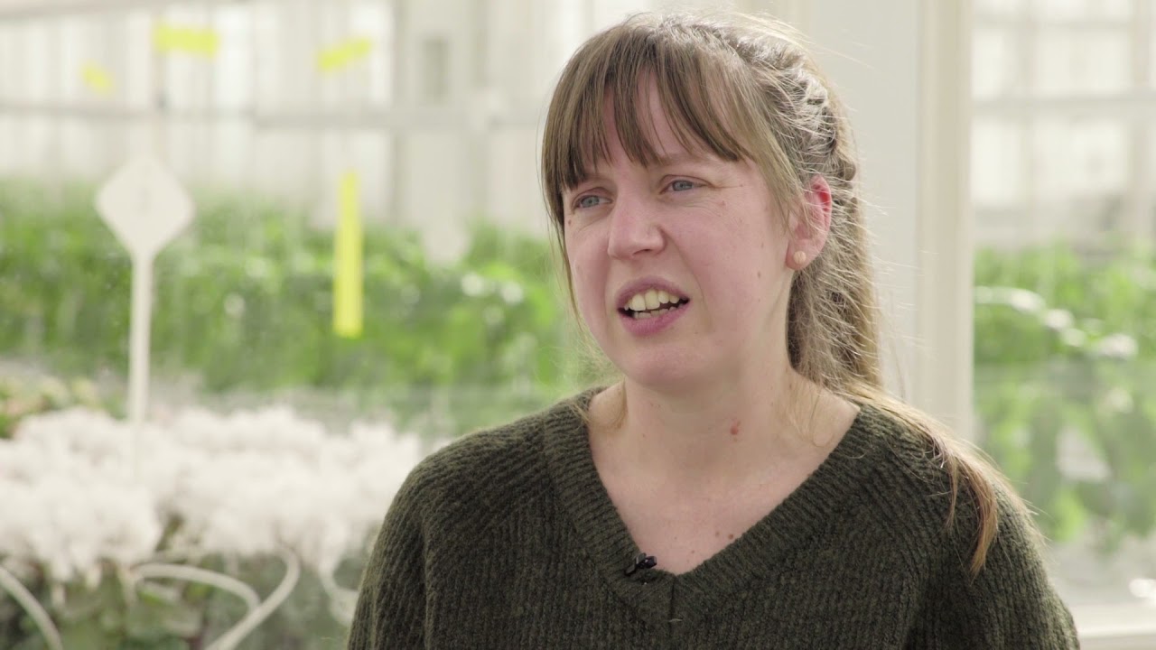 Hulpstoffen in de tuinbouw - praktijkonder Sacha Bakx