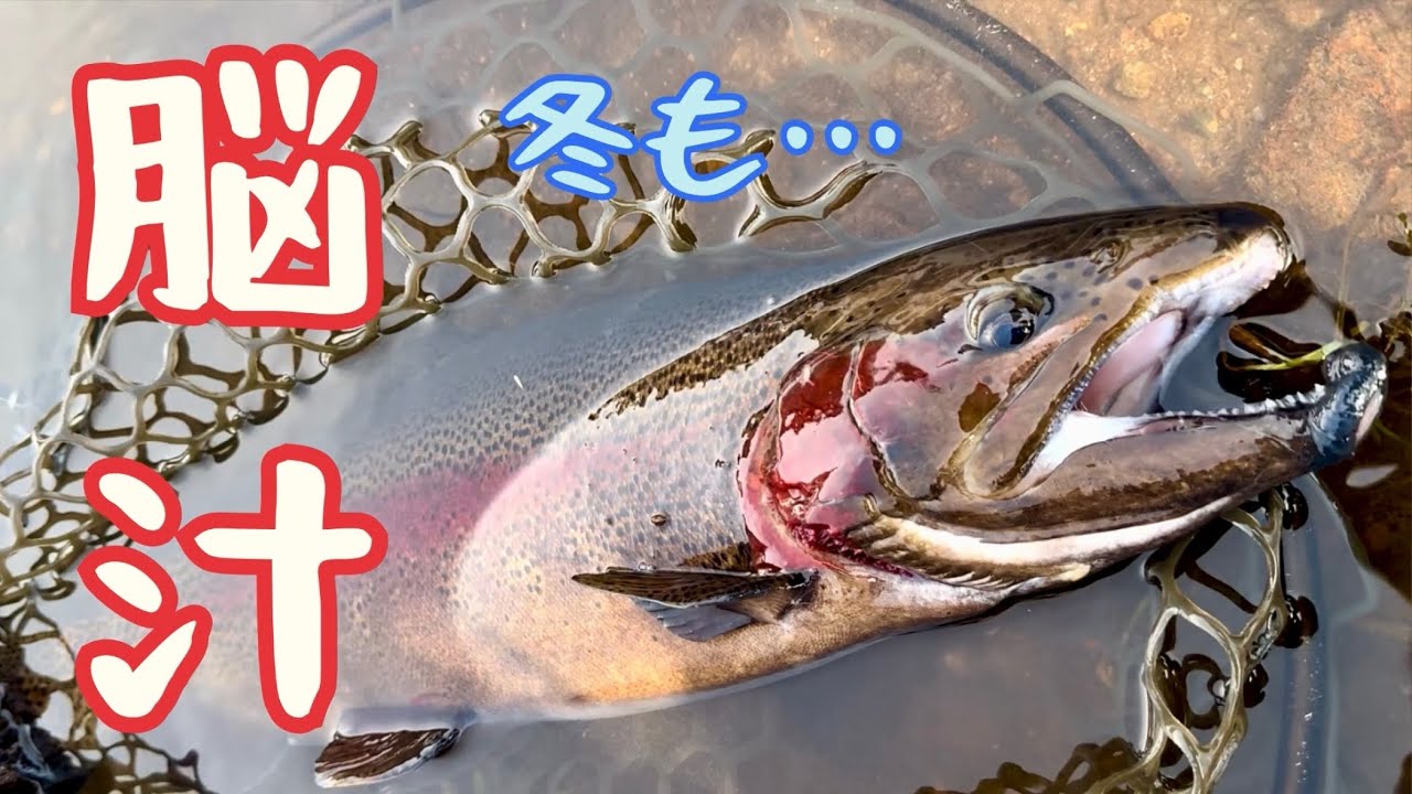 【エリアトラウト】脳汁出すのは好きですか？【エリアミノーイング】