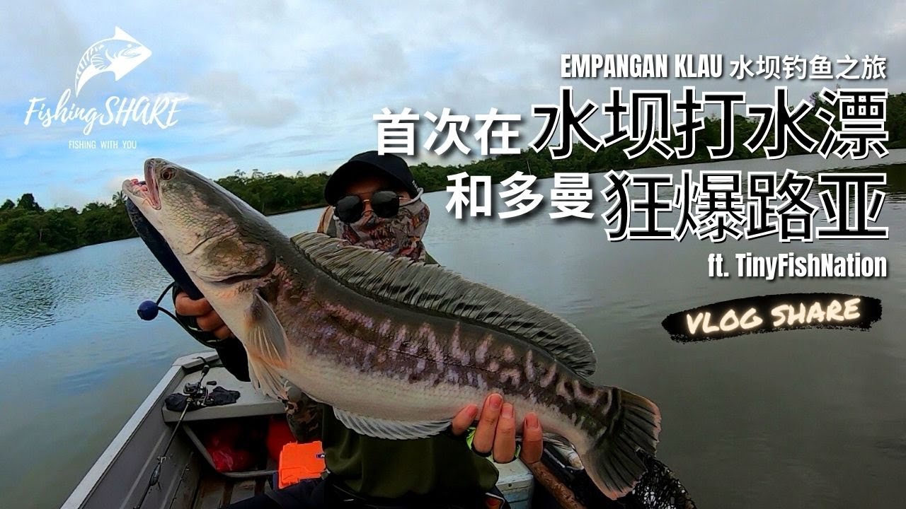 【FishingShare】EMPANGAN KLAU水坝钓鱼之旅|首次水坝打水漂和多曼狂爆水面路亚|SKIPPING in DAM and TOMAN TOPWATER EXPLODE
