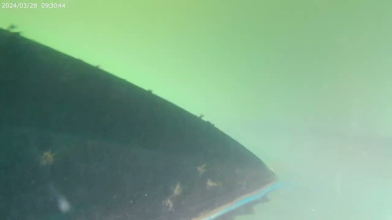 Ein Riff am Unterschiff