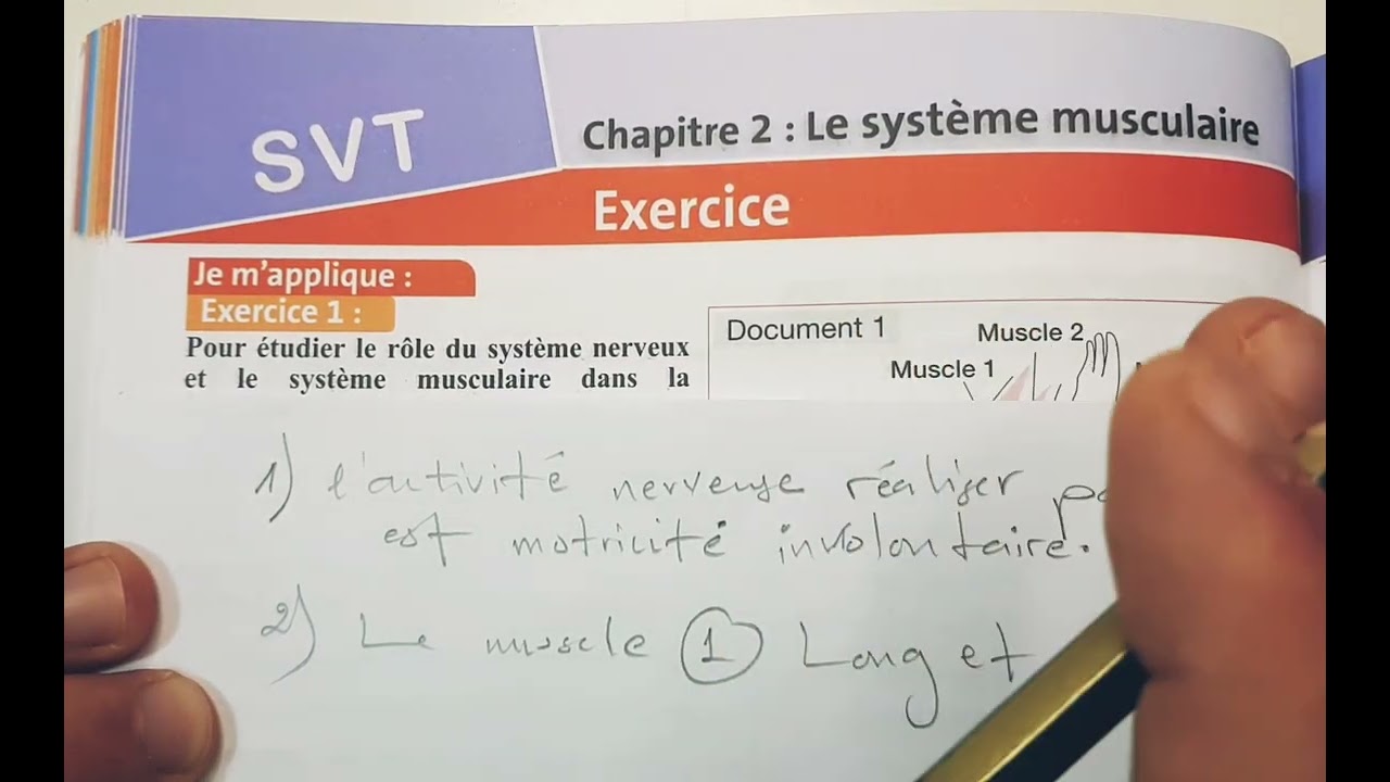 3 AC / SVT / Système musculaire : 💥 correction d'exercice 1 💥