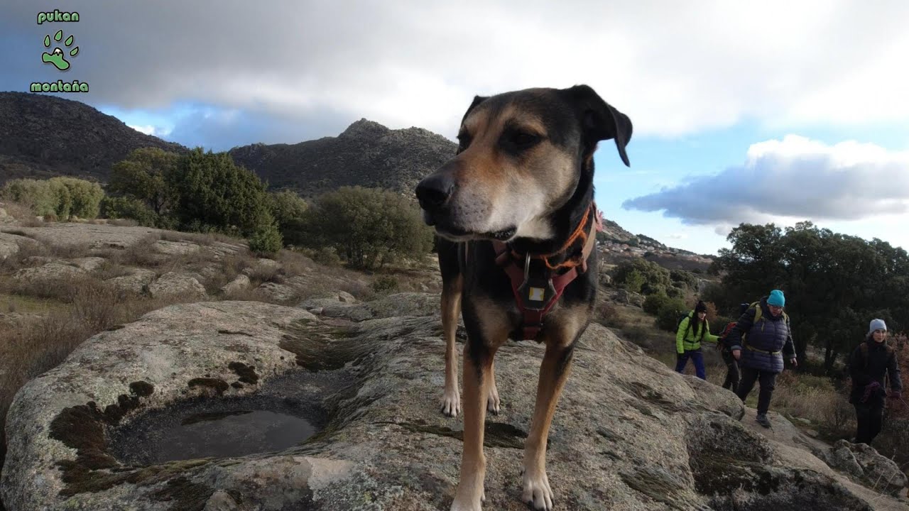 SENDERISMO CON PERRO. Fortines y molinos