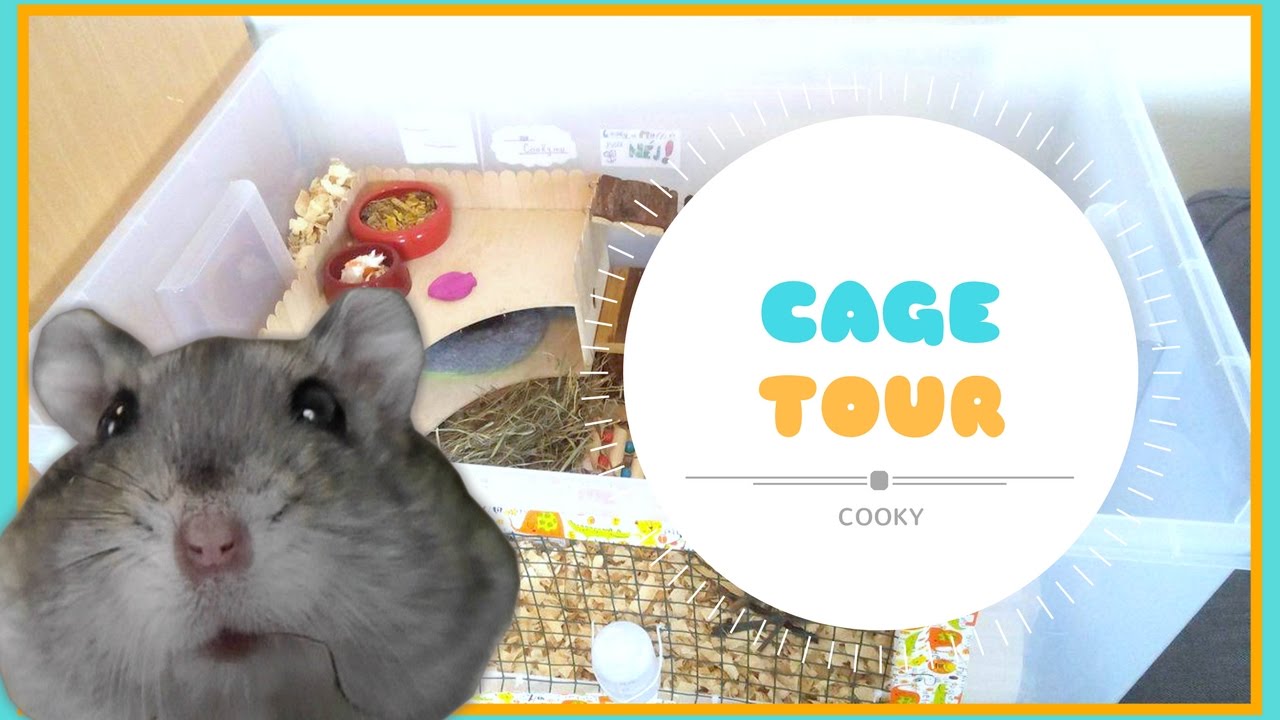 CAGE TOUR  |  Cooky