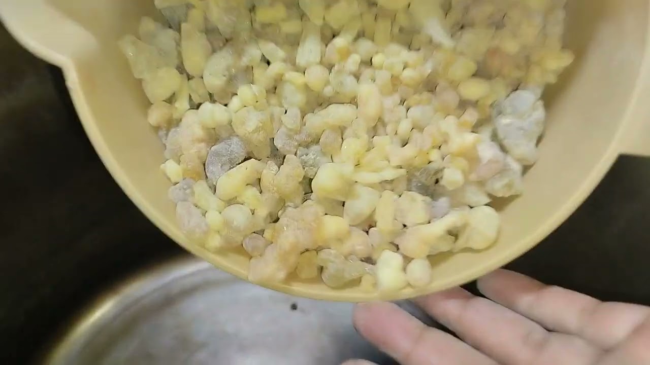 زيت لبان الذكر الاساسي.طريقة تقطيره مع تبيين ،كمية الزيوت والمياه المقطرة من 2كيلو لبان. الجزء1.
