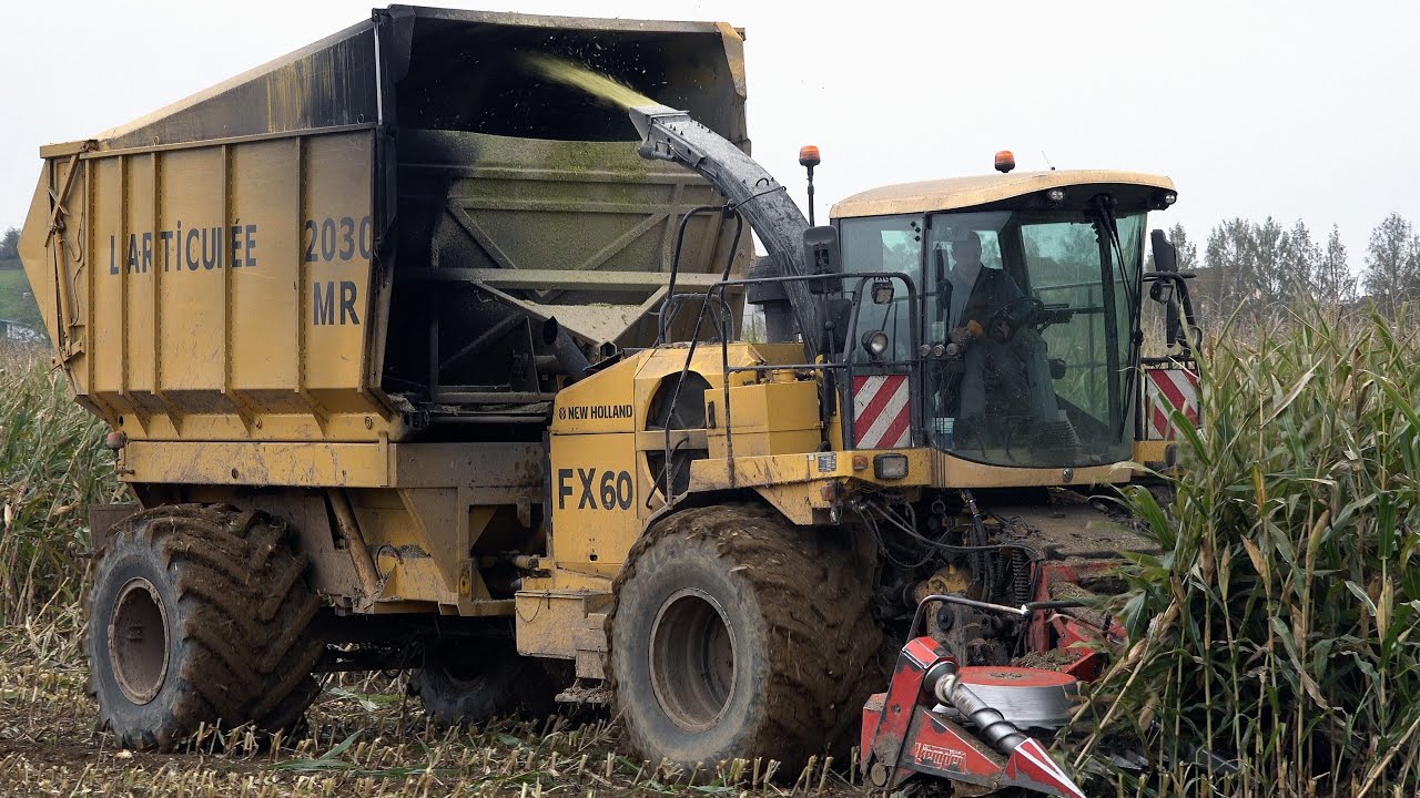 Ensilage 2024 - Articulée Racine New Holland FX60 - Claas Jaguar 970 - Audeux - Doubs - Part 1/2 -