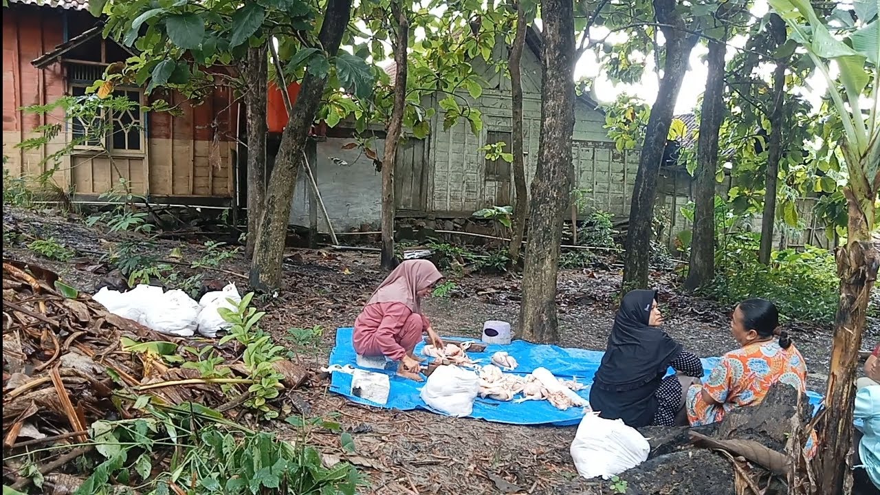 BEJANE SENG NDUWE HAJAT, UDAN KET ISUK SAMPEK AWAN RA TERANG-TERANG