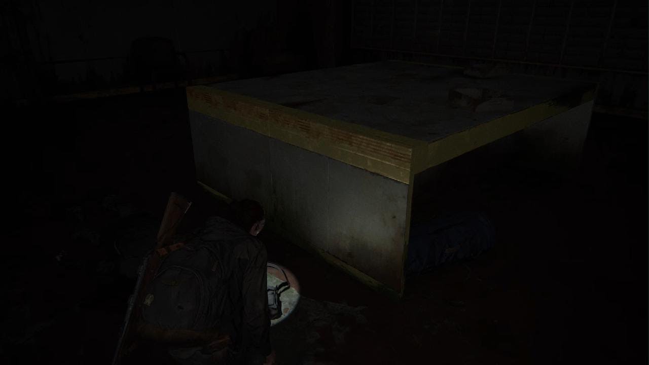The Last of Us Part II_20260222195006 kamspeedy1
