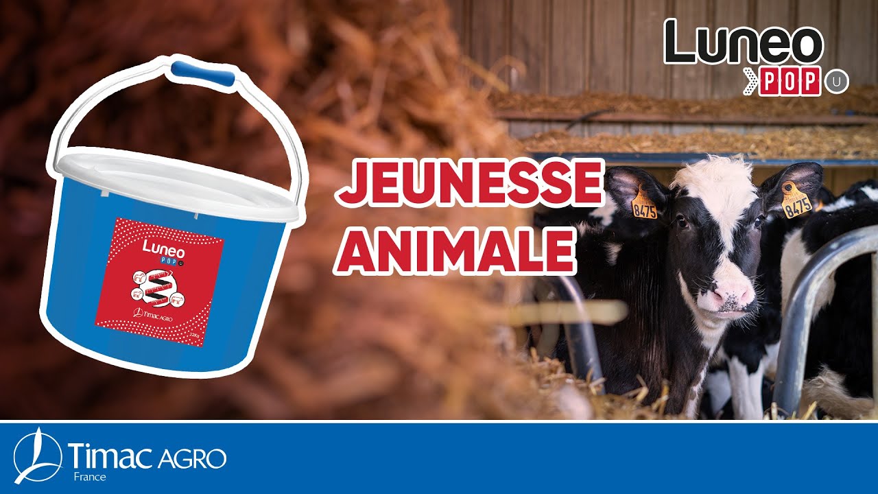 LUNEO POP U : Votre solution croissance