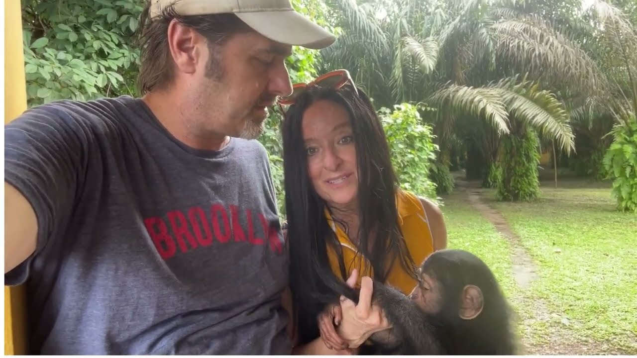 EMERGENCY APPEAL - LIBERIA CHIMPANZEE RESCUE & PROTECTION