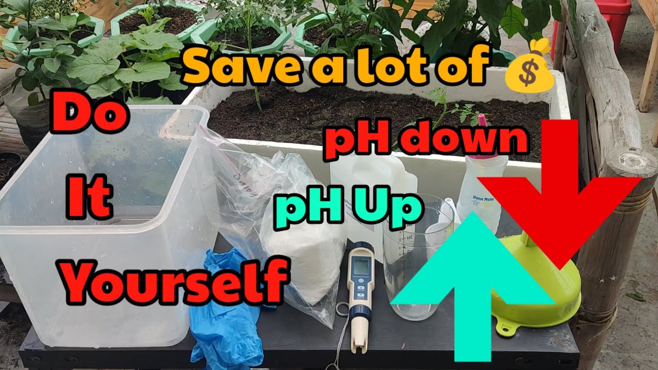 DIY Do It Yourself  pH down and pH up | Save a lot of money | Hydroponics