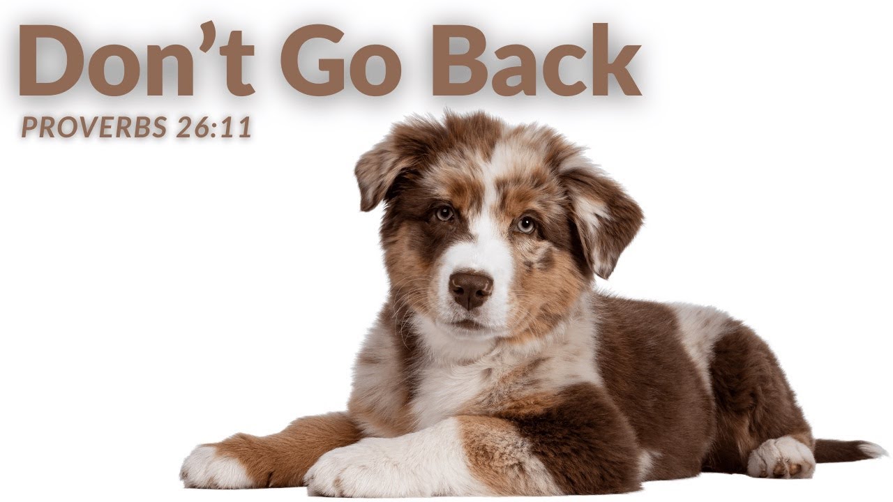 Dont Go Back