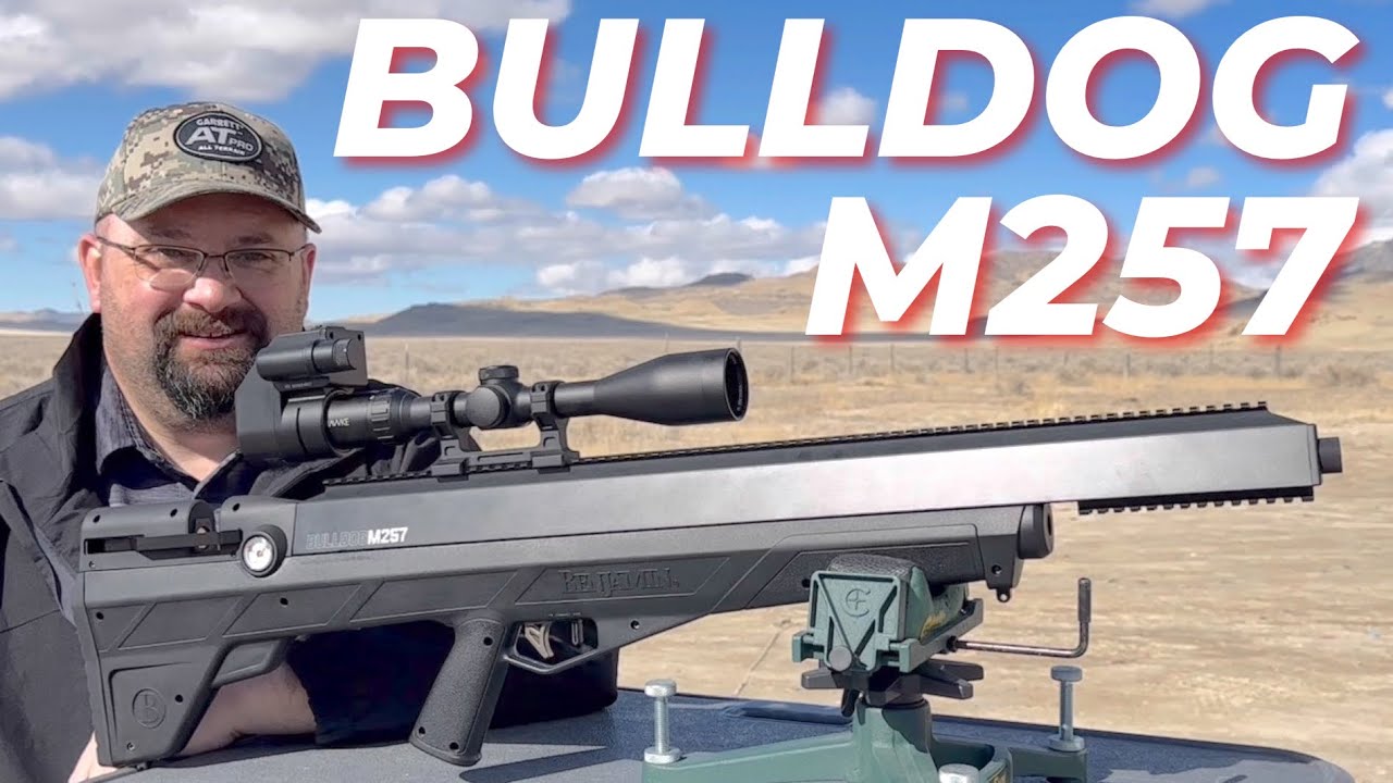 Benjamin Bulldog M257: What You Need to Know