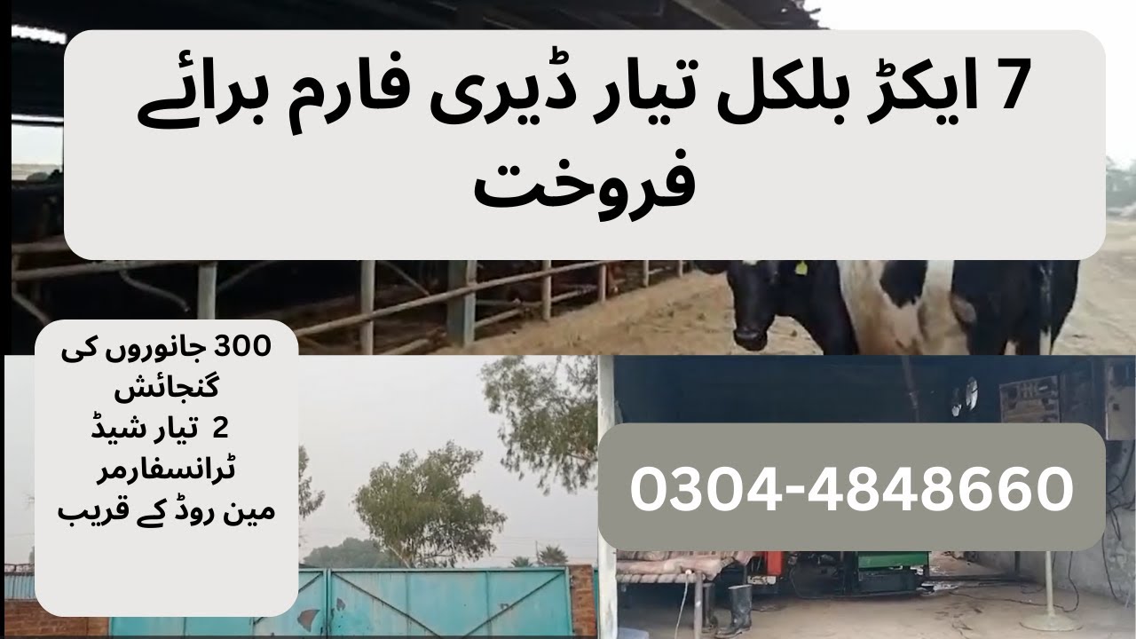 7 Acre Ready Dairy farm for sale | Farm house | Cheap Dairy farm near Lahore| #pkpropertiesofficial