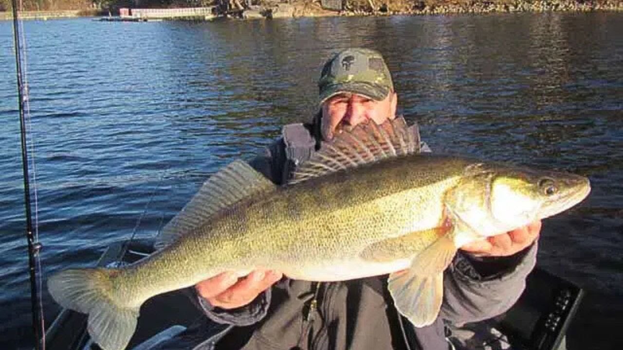 PECHE DU SANDRE AU LAC DES SETTONS