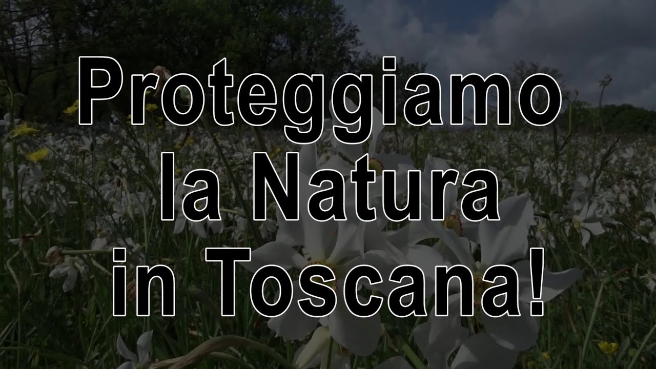 Proteggiamo la Natura in Toscana!