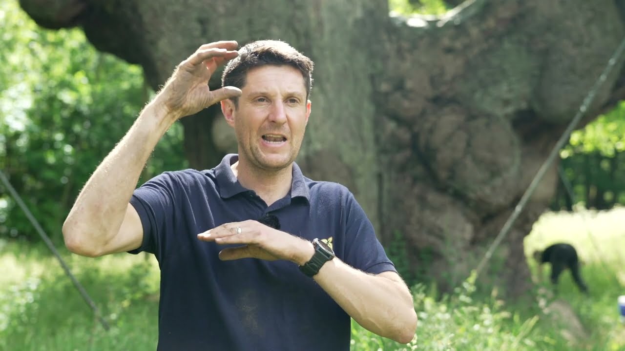 Major Oak Soil Sampling 2022 - RSPB Sherwood Forest