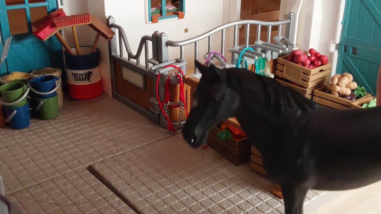 Pferd ab in deine Box 🐴