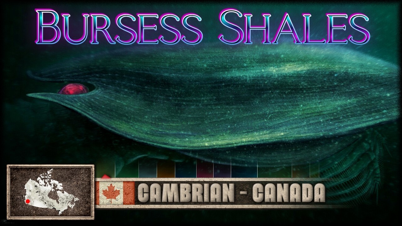 🇨🇦 BURGESS SHALES: The Explosion of Forms (Life 508 Million years ago)