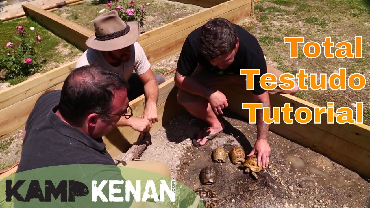 Testudo Tortoise Tutorial!