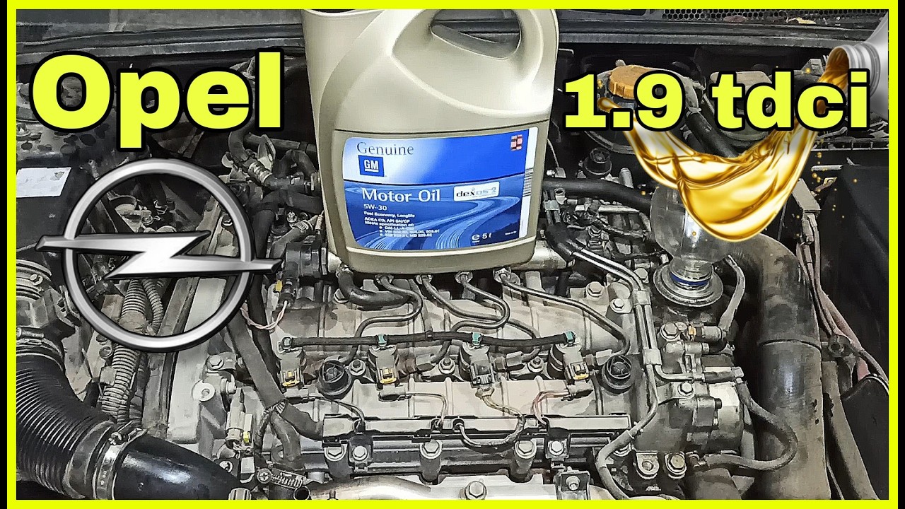 Como Cambiar Aceite | Filtro De Aceite | Filtro De Gasoil | Opel Vectra C | 1.9 CDTI Z19 DTH