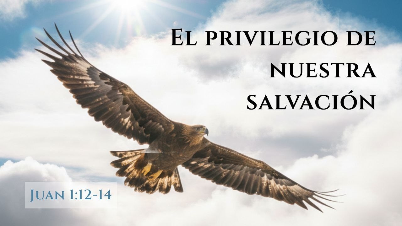 Juan 1:12-14, El privilegio de nuestra salvación