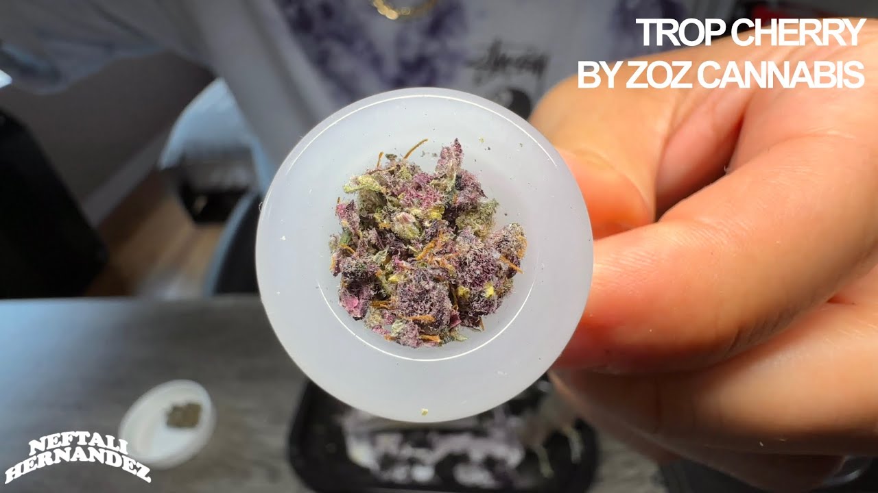 THE MOST PURPLE BUD IVE EVER SEEN! TROP CHERRY BY ZOZ