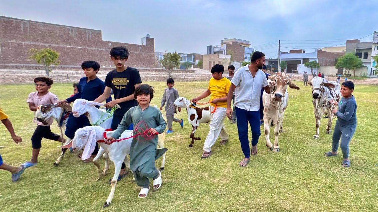 Sab Qurbani K janwro Ko Bahir Le Aiy😍
