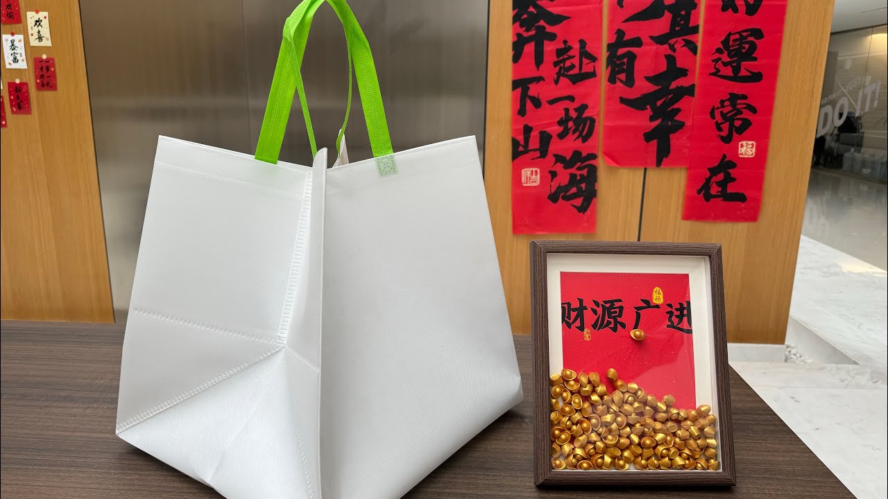 35cm Big Gusset Box Bag with Button| Oyang Leader Non Woven Bag Making Machine to Middle East Asia