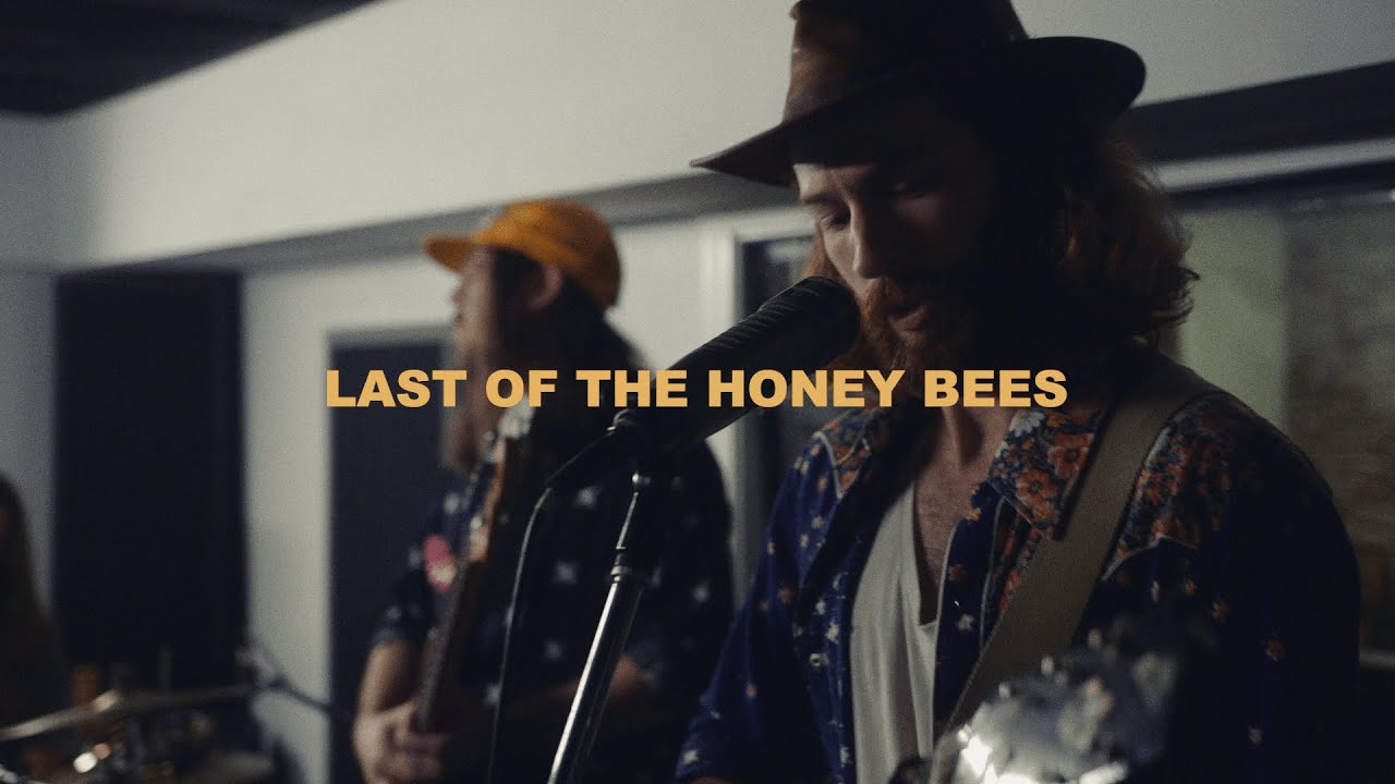 Sam Burchfield - Last of the Honey Bees | Live from the Vault (Ep. 6)