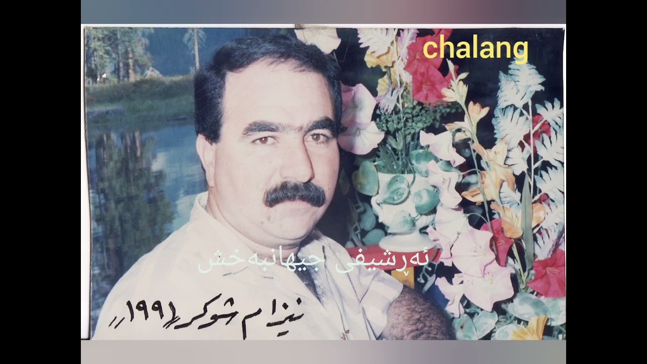 نیزام شوکر..نەرمە