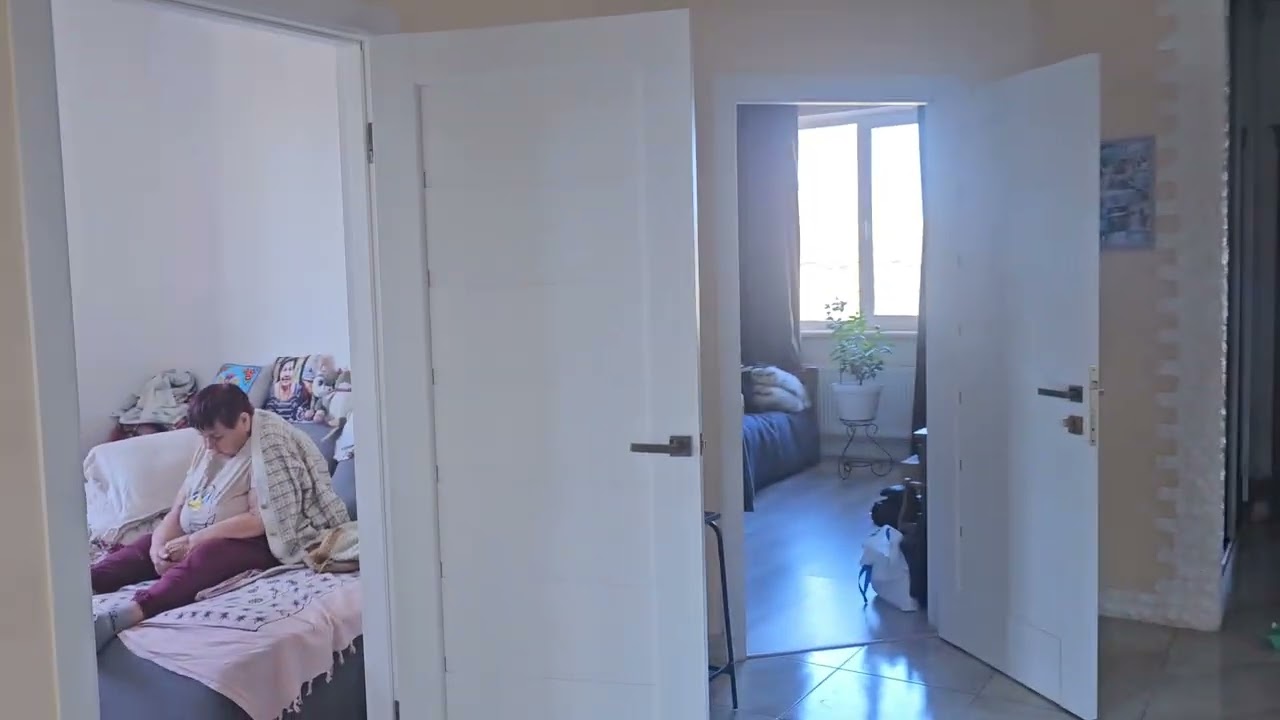 Что делать аллергия?🤦