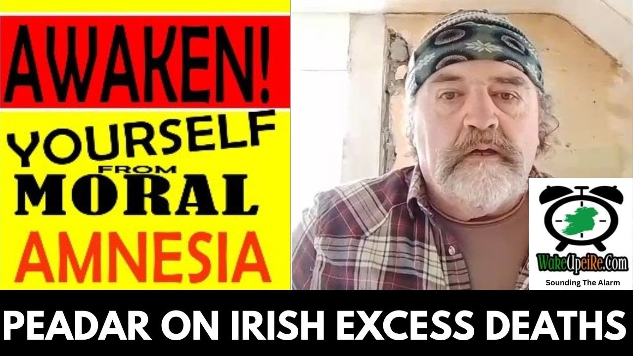 The Elephant has Become the Room – Irish Excess Deaths