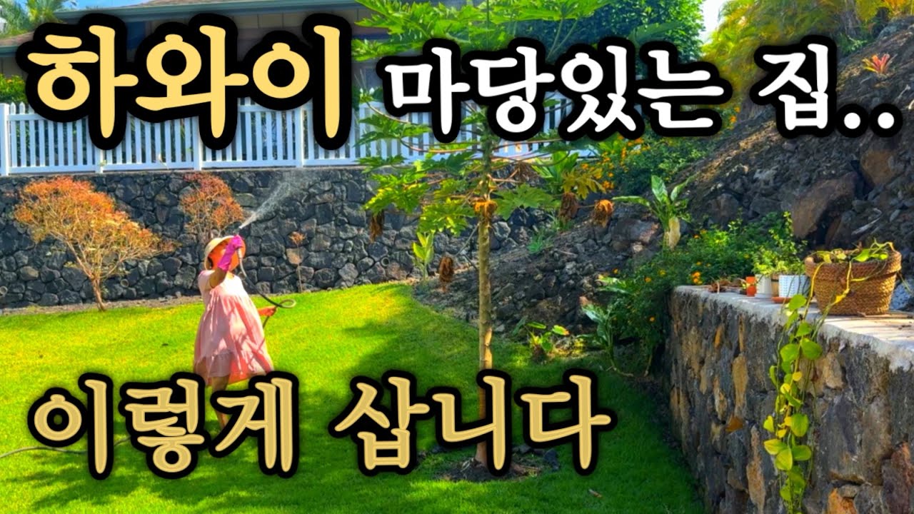 하와이 마당있는 집...50대 아줌마 이렇게 삽니다.