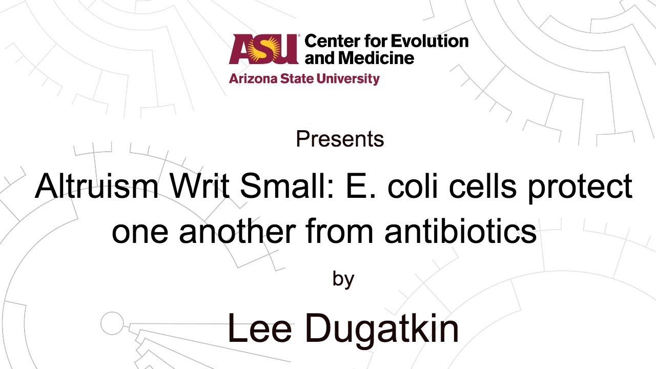 Altruism Writ Small: E. coli cells protect one another from antibiotics | Lee Dugatkin