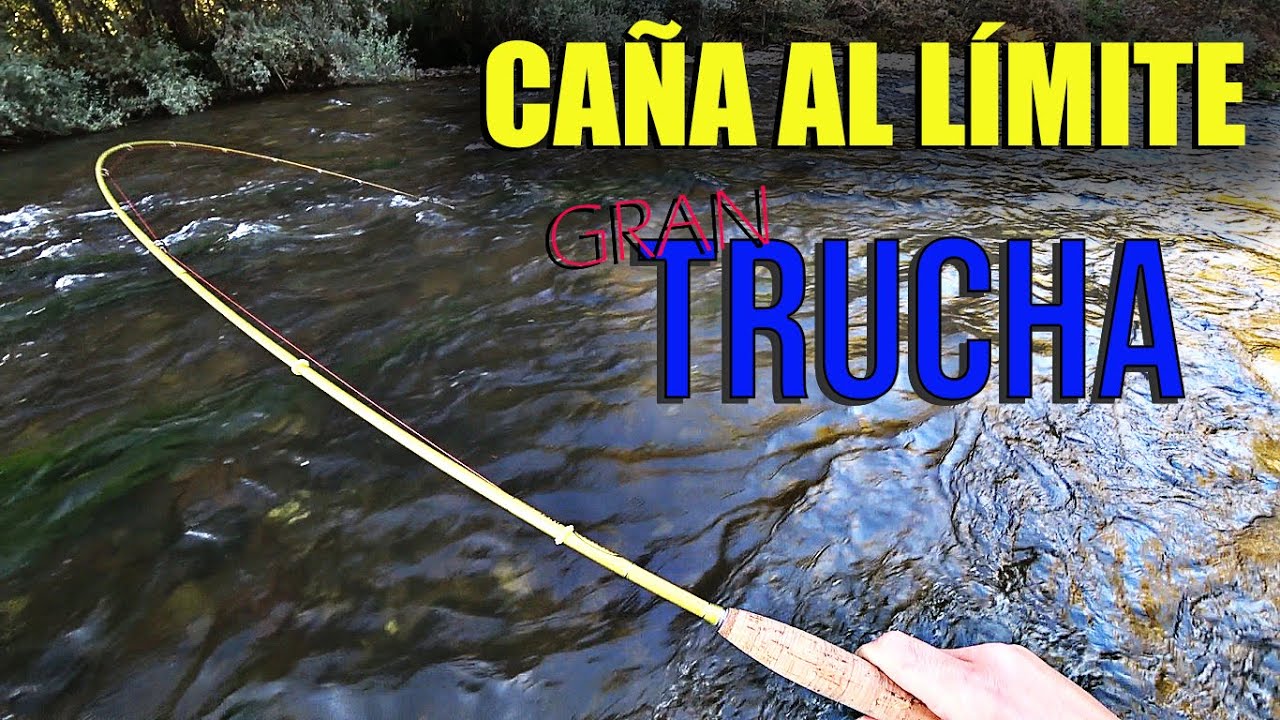 Poniendo al LÍMITE el EQUIPO con una Gran TRUCHA - [al HILO].