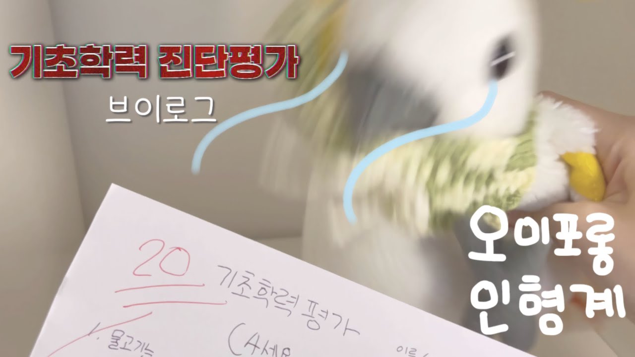 기초학력 진단평가 브이로그 #인형계 #먹방 #브이로그 #시험 #귀여운 