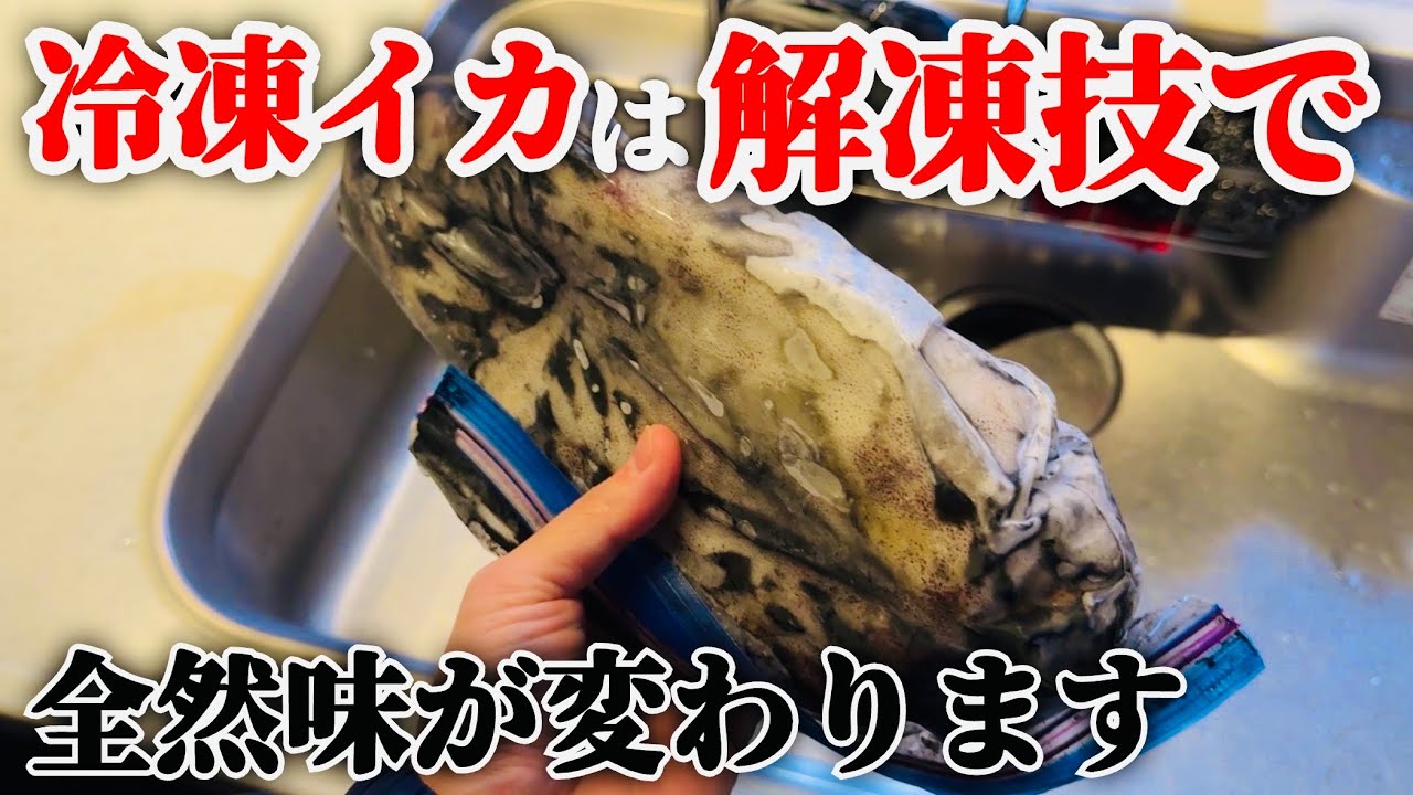 【冷凍イカ】冷凍方法から解凍方法。更に美味しく捌くコツまで全てお見せします。