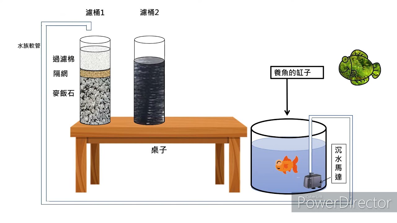 陽台 魚菜共生 DIY: 種花、風水缸、觀賞魚 三合一 潮汐系統 Mini Aquaponics System at home!!