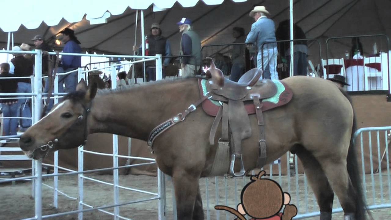 STOOPID MONKEY - Stoopid Rodeo