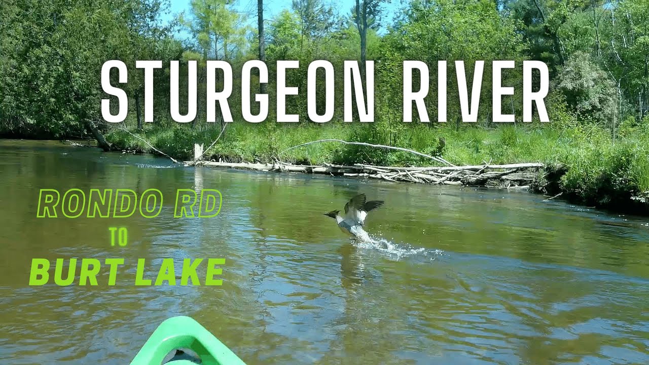 Sturgeon River Kayak Adventure to Burt Lake | Wolverine, MI