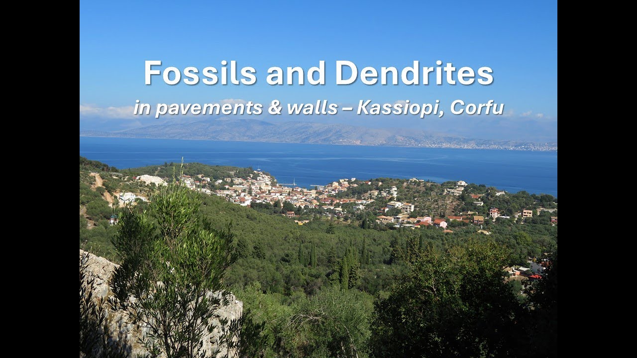 FOSSILS AND DENDRITES in pavements & walls &ndash; Kassiopi, Corfu