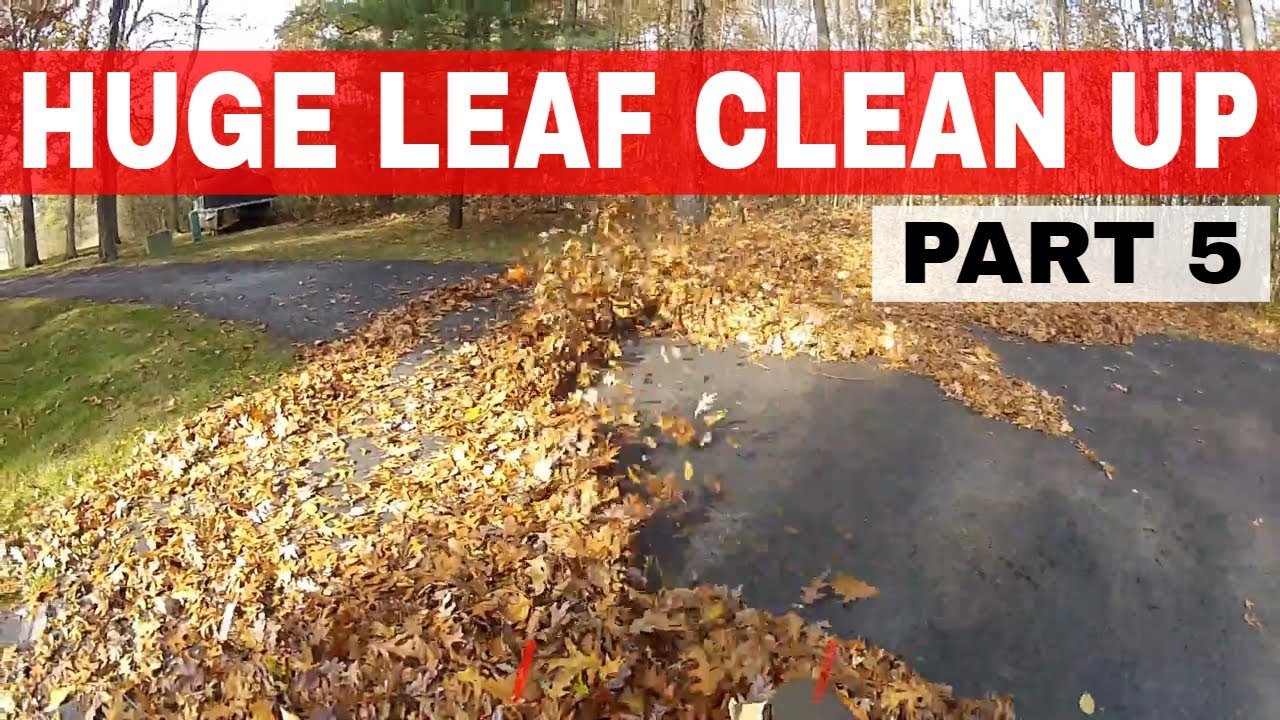 Huge Fall Clean-up made easy with a Husqvarna backpack blower - Part 5