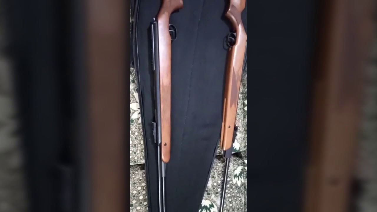 Diana 350 & 460 magnum review sk mustak